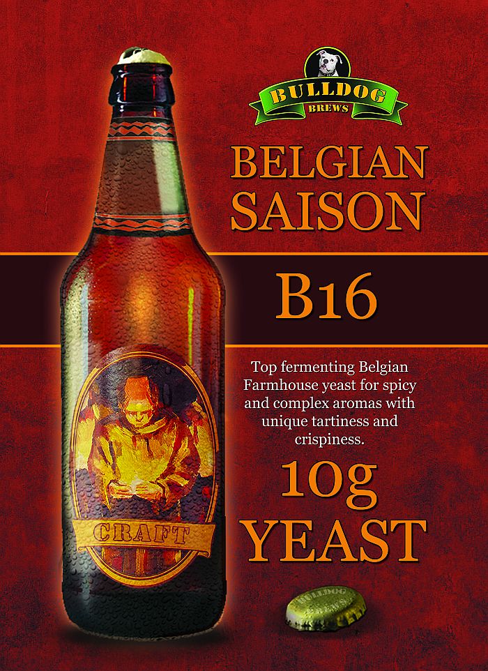 B6 Belgian Saison beer yeast