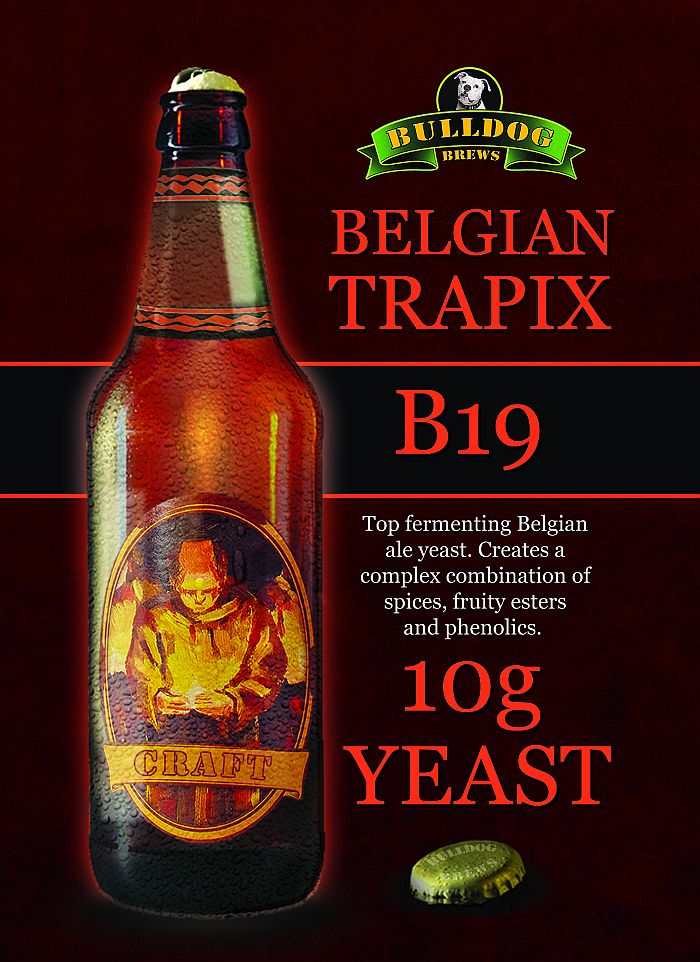 B19 Belgian Trapix beer yeast