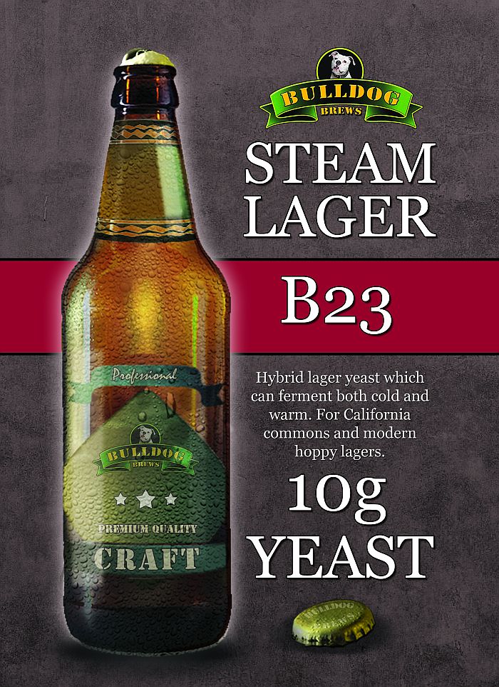 B23 Steam Lager yeast